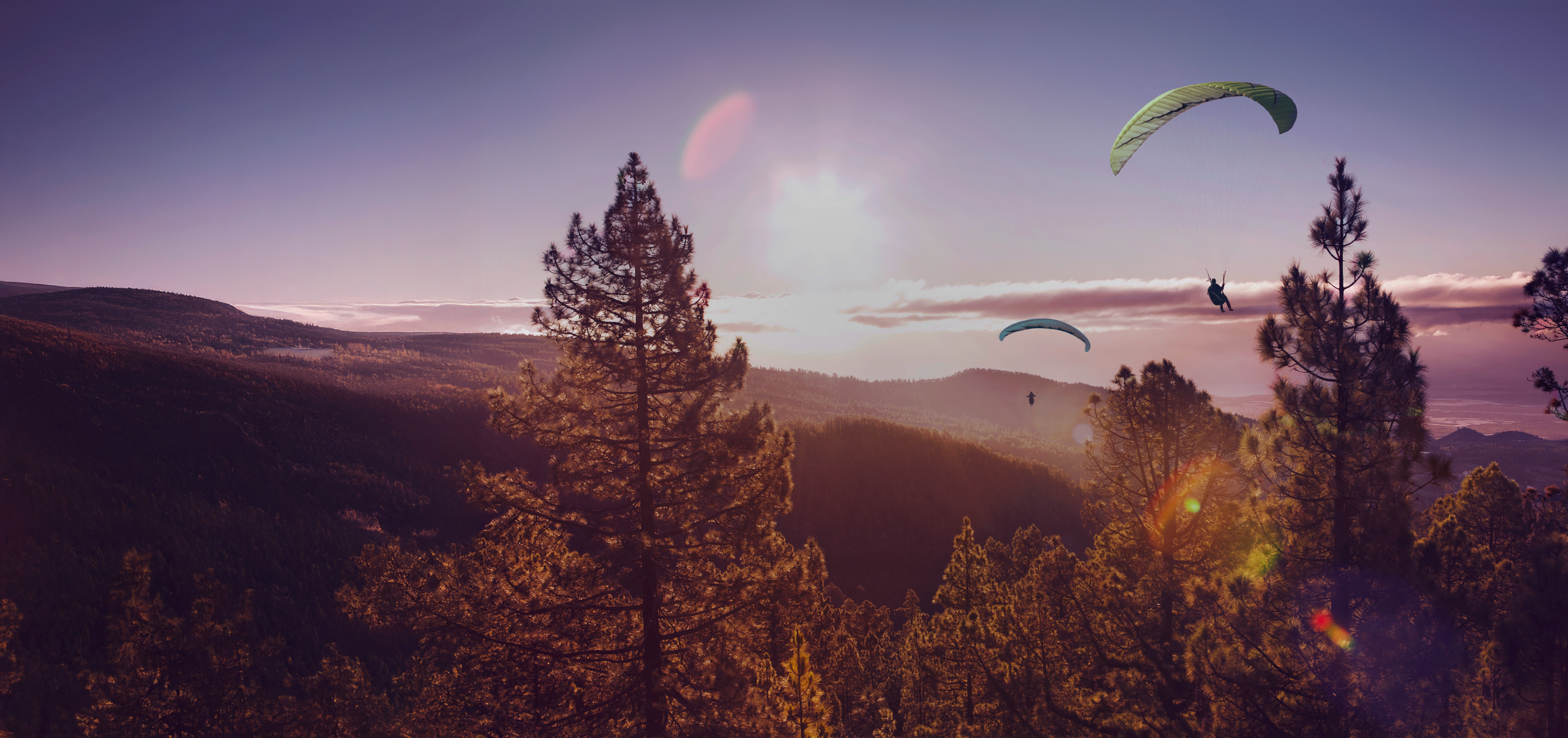 Paragliders flying over a forested landscape at sunset.